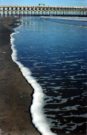 17-FOLLY BEACH INCOMING TIDE