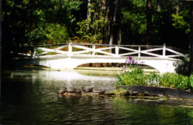 2-BRIDGE & TURTLES MAGNOLIA GARDENS