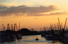 41-SHEM CREEK SILHOUETTE