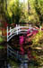 23-MAGNOLIA GARDEN ARCH BRIDGE REFLECTED